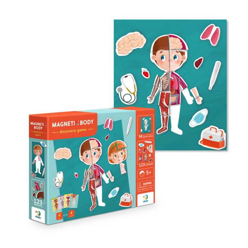 гр Розвивальна магнітна гра "Людське тіло" 200220 (10) 123 елементи "Dodo"