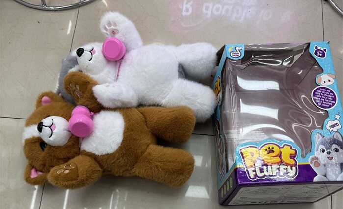 Інтерактивна м`яка іграшка F 43668 (48) 2 види, в коробці