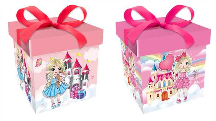 Коробка подарункова C 75683 (240) 2 види