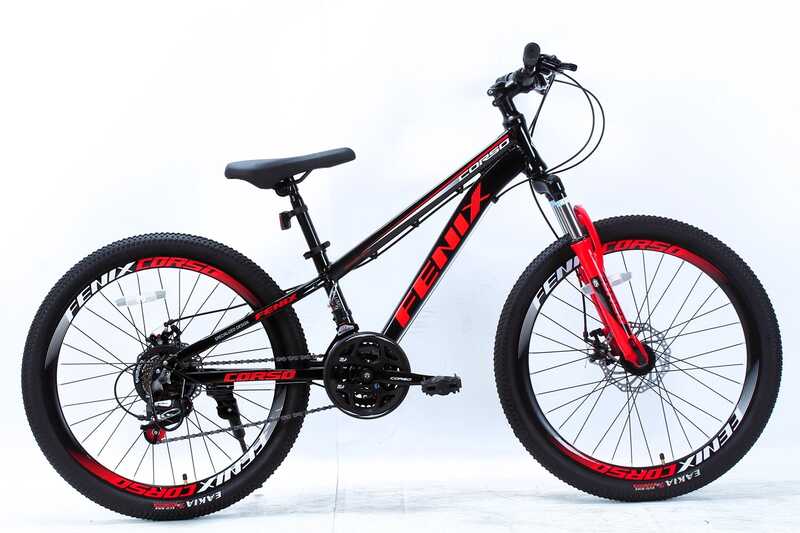 Велосипед Спортивний Corso 24" дюймів «Fenix» FX-24321  
