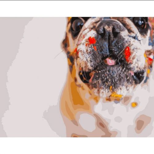 Картина за номерами "Мокрий носик" ★★★