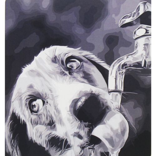 Картина за номерами "Жага"