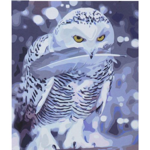 Картина за номерами "Сова з Гоґвортсу" 40х50 см