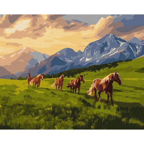 Картина по номерах "Вільні духом" 40х50 см