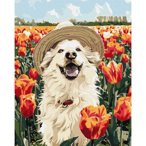 Картина по номерах "Щасливий лабрадор" 40х50 см