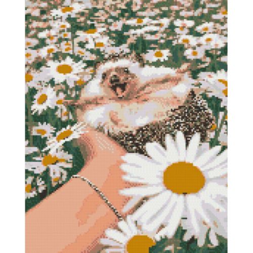 Алмазна мозаїка "Їжачок у ромашках" 40х50 см