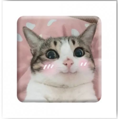 3D стікер "Милий котик" (ціна за 1 стікер)