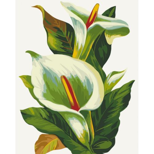 Картина по номерах "Білі квіти" 40х50 см