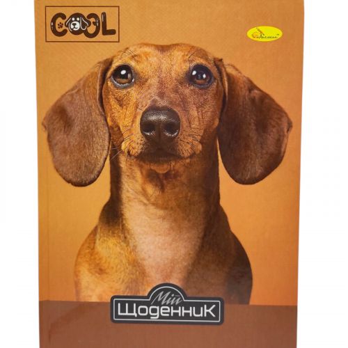 Щоденник учнівський Супер "ДІВОЧИЙ МІКС"