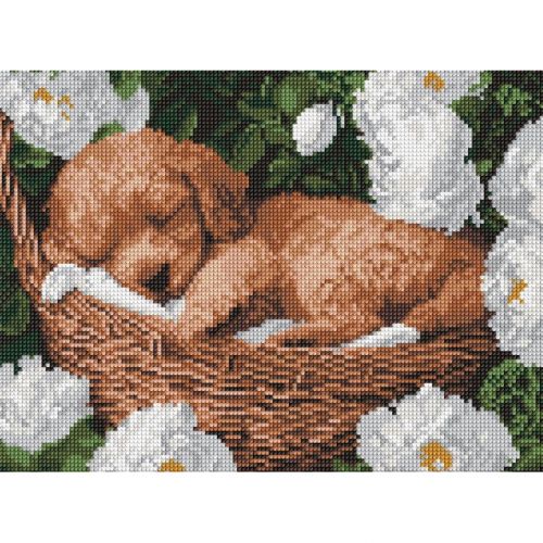 Алмазна мозаїка "Сплячий пудель" 30x40см