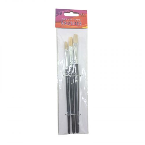Набір пензлів для малювання,Щетина,розмір 8,10,12 3шт.в пакеті,плоска головка,деревʼяна ручка