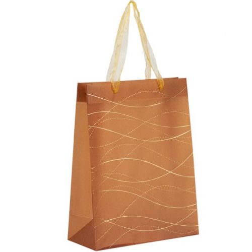 Пакет пластиковий подарунковий (25х19 см)