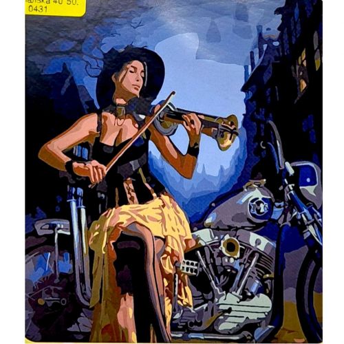 Картина по номерах "Мотоскрипалька" 40*50 см