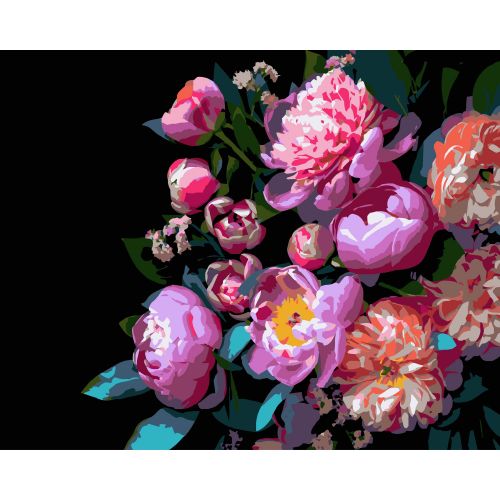 Картина за номерами на чорному фоні "Півонієподібні квіти" 40Х50 см