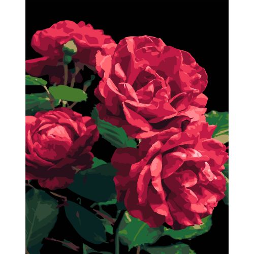 Картина по номерах на чорному фоні "Троянди" 40х50 см