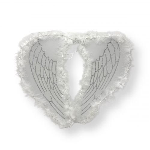 Крила ангела (БІЛІ)